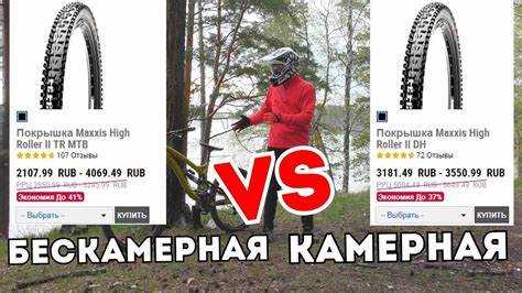 Когда стоит выбрать бескамерные шины?