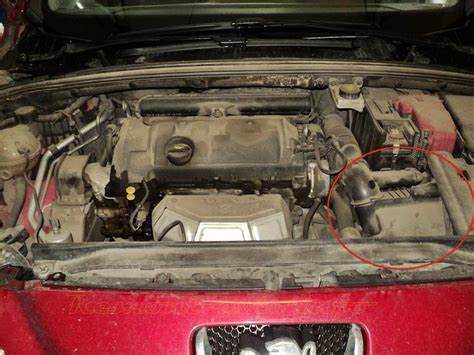 Распространенные