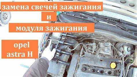Уход за решеткой: советы по профилактике повреждений